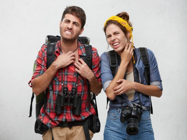 Stages Of Dengue Fever