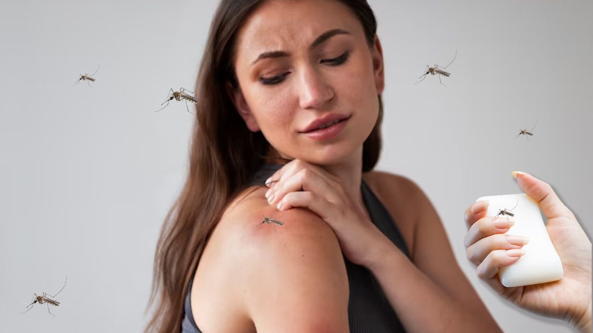 Do Mosquitoes Bite You A Lot Do Mosquitoes Bite You A Lot