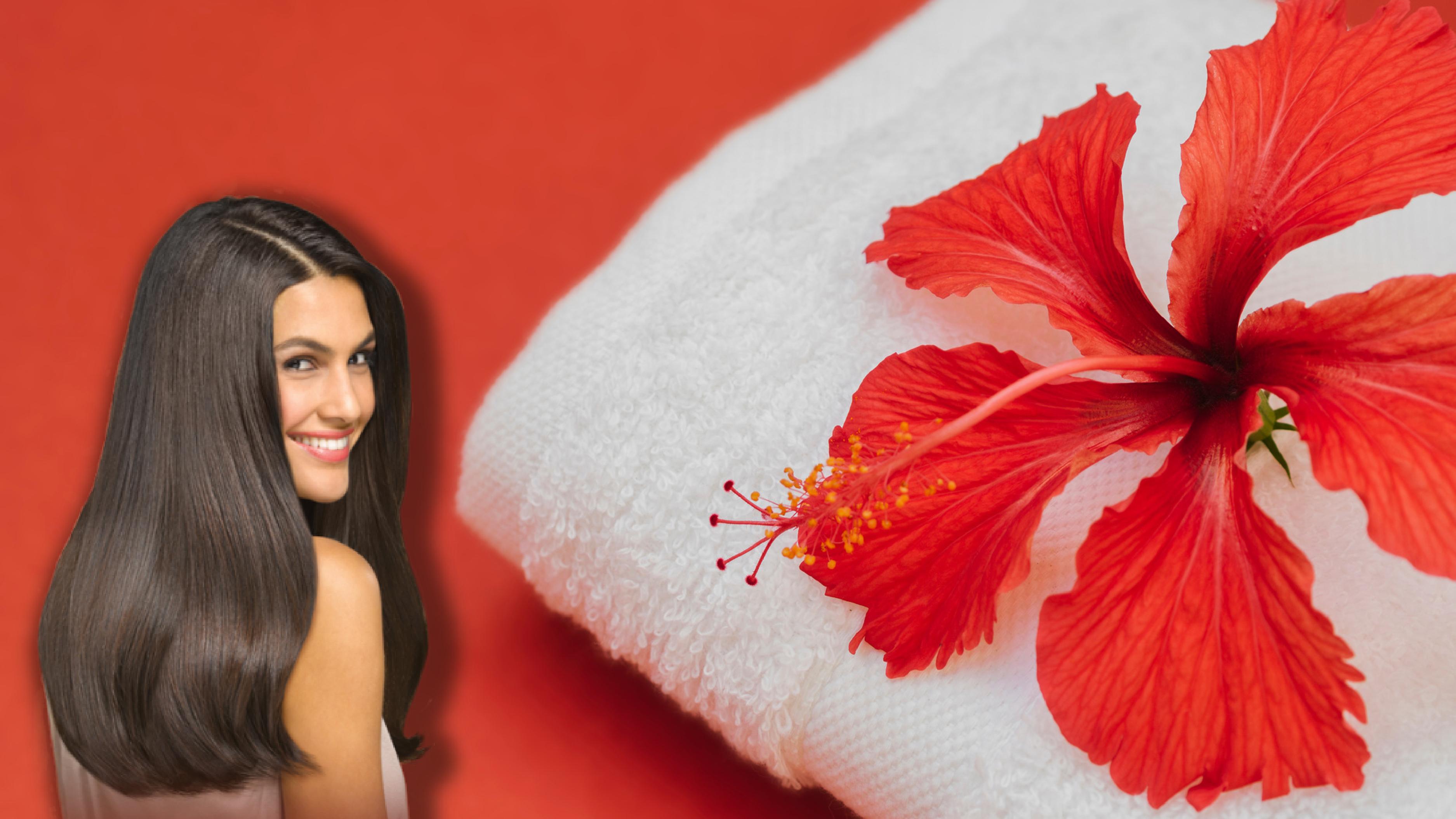 Hibiscus To Manage Hair Fall Hibiscus To Manage Hair Fall