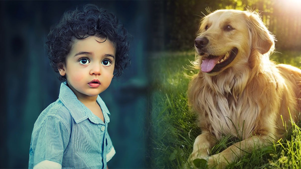 kidsanddogs kidsanddogs