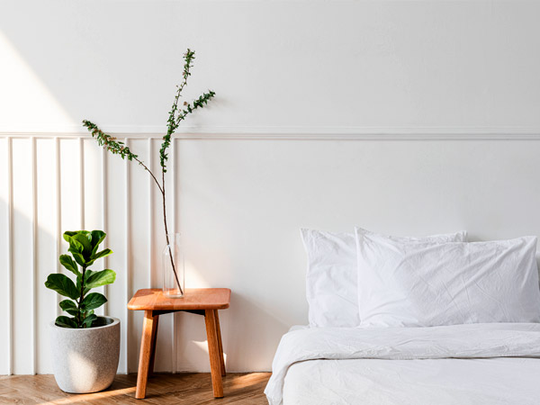 Placement Ideas For Indoor Plants