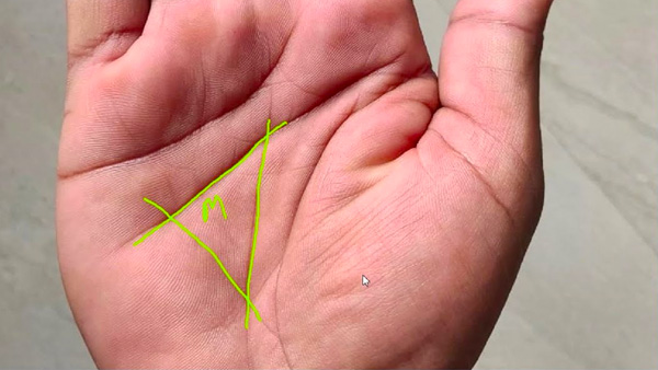 Wealth and Relationships Connection