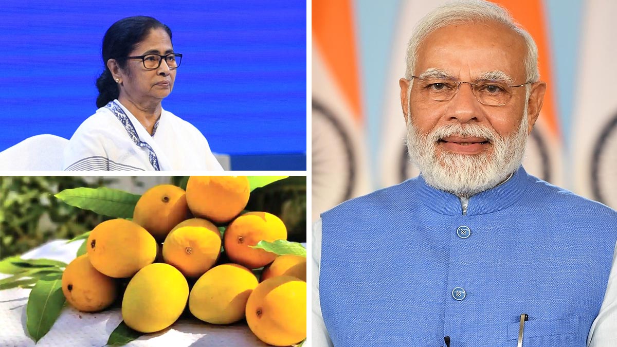 Lakshmanbhog Mangoes for Narendra Modi Lakshmanbhog Mangoes for Narendra Modi