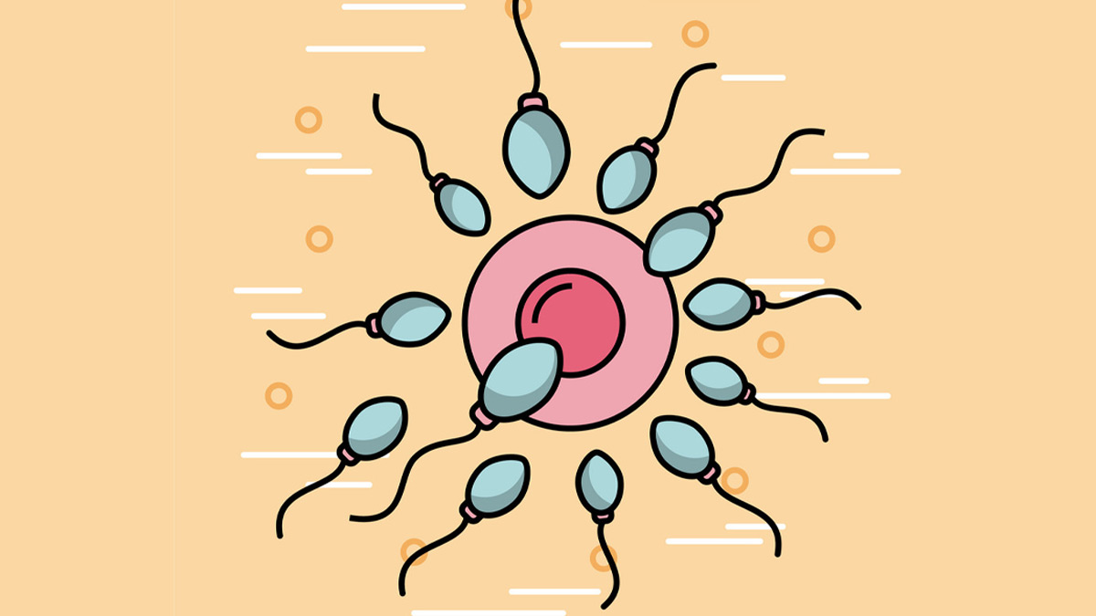 Female Crocodiles: Reproducing Female Crocodiles: Reproducing