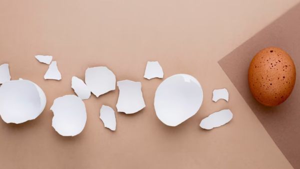 The 5-second Rule For Food Is Real!