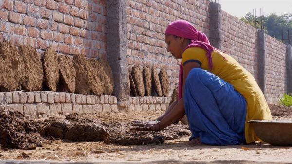 Is Plastering Floor With Cow Dung Good?