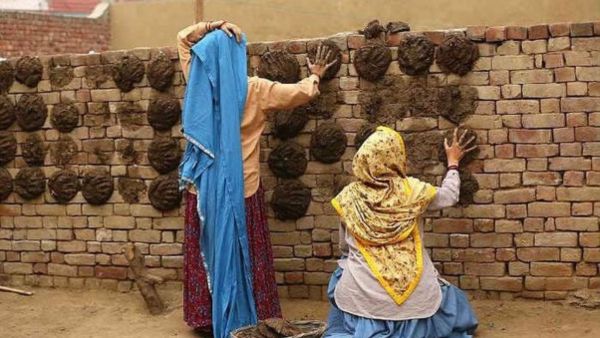 Is Plastering Floor With Cow Dung Good?