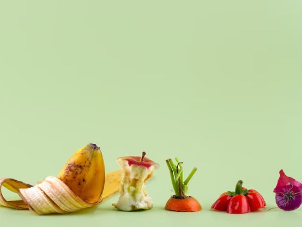 Foods That Can Easily Spoil