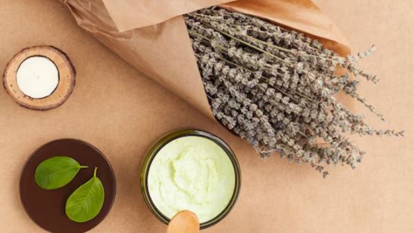 Rosemary And Aloe Vera Hair Fall Combo