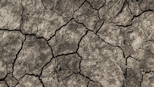 Heatwave Protection Tips For Children