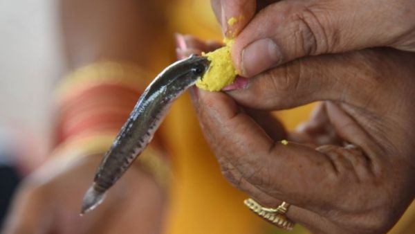 Hyderabad Temple Distributes Fish Prasad