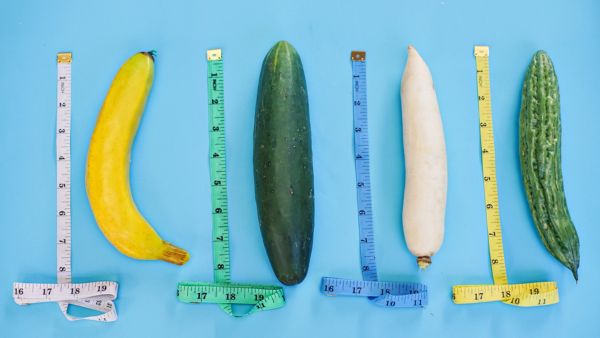 Is Male Fertility Linked To Penis Size?