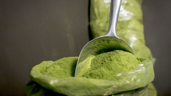 Moringa Leaves For Hair Loss