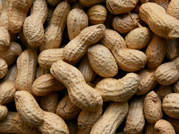 Peanuts During Pregnancy And Allergy Peanuts During Pregnancy And Allergy