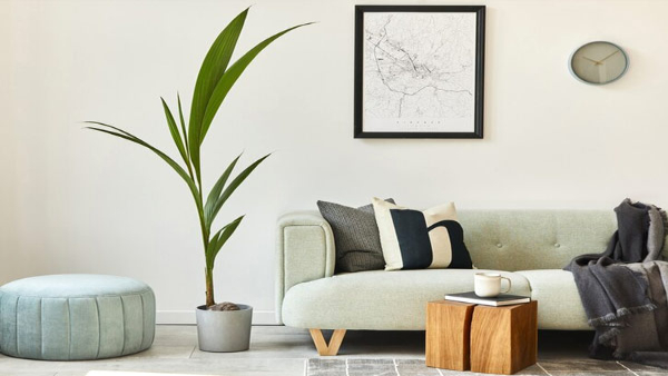 Small Living Room Decor Ideas