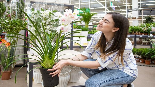9 Simple Tips To Care For Plants