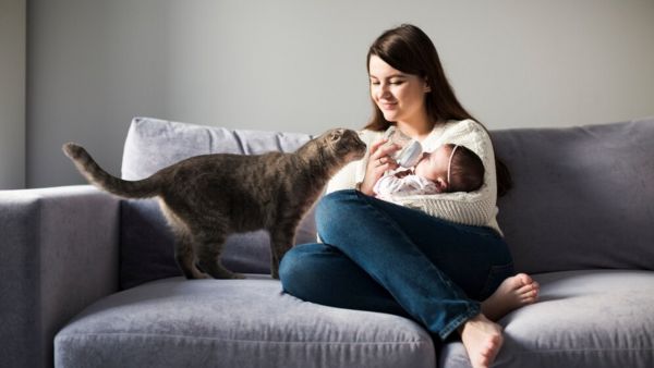 Breast Milk & Benefits After First Month