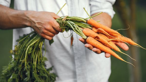 Should You Peel Carrots?