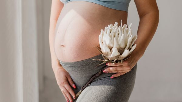 Womens Childbearing Age Has Shortened Womens Childbearing Age Has Shortened