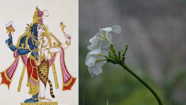 Weekly Festivals List July 2023