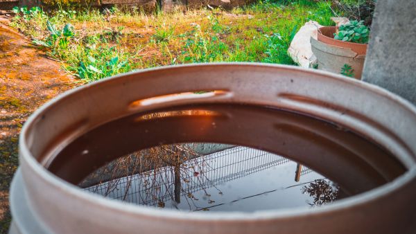 Govt Advises To Take Weekly ‘Dry Day’