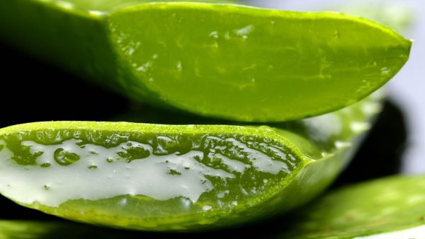 Peppermint & Aloe Vera For Hair Loss