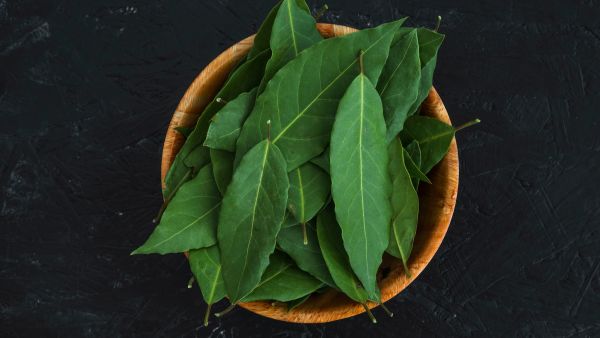 Combat Hair Loss With Neem And Fenugreek