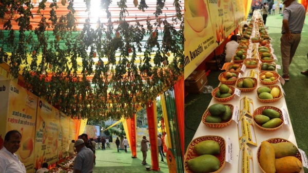16th NMC India Mango Festival 