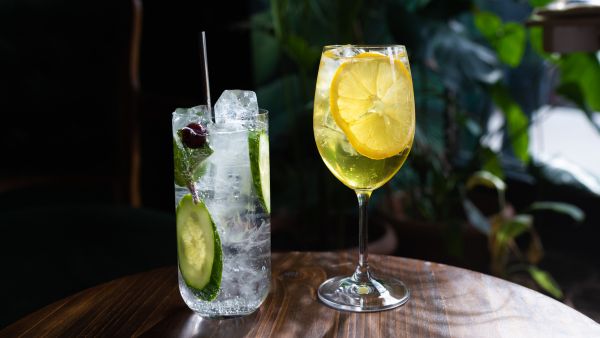 Can Drinking Mojito Aid Weight Loss?