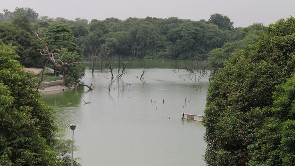 Is It Safe To Swim In Floodwater?