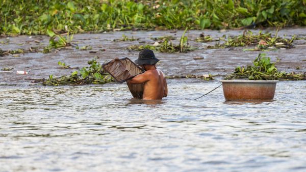 Is It Safe To Swim In Floodwater?