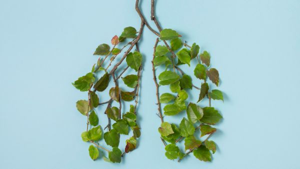 Lung Cancer Warning Signs