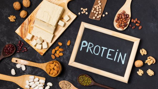 Protein-Rich Diet For Weight Loss