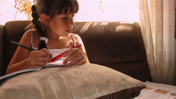 Fostering Cognitive Development