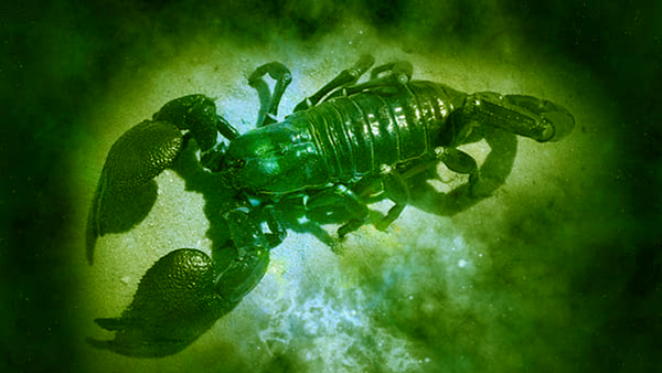 Horoscope Today, 01 August 2023