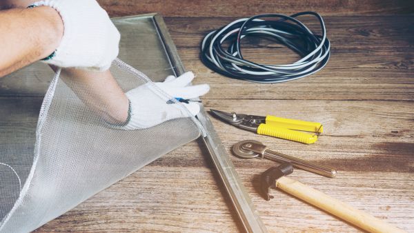 Travelling Tips To Prevent Dengue Fever