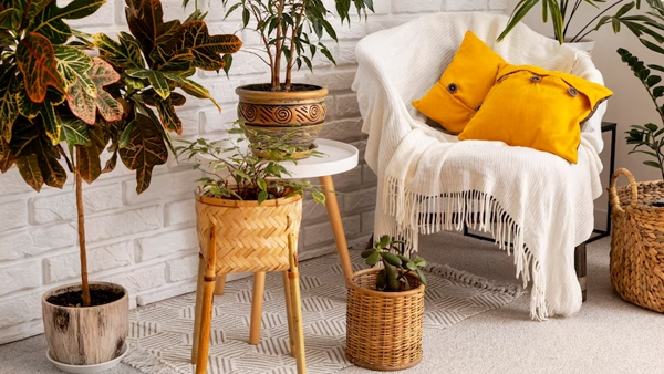 8 Creative Ways To Decorate Your Home With Plants