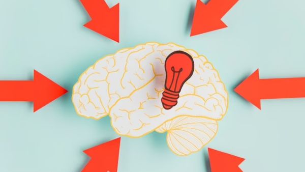 What Happens To Your Brain In Alzheimers Disease? What Happens To Your Brain In Alzheimers Disease?