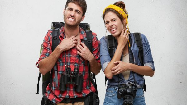 Is One Bite Enough to Get Dengue?