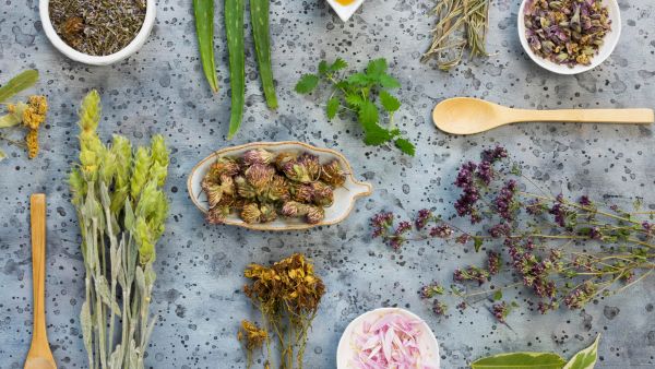 Traditional Home Remedies For Dengue Traditional Home Remedies For Dengue