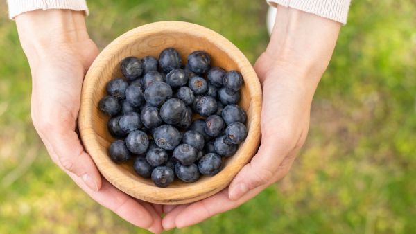 5 Foods For Healthy Skin