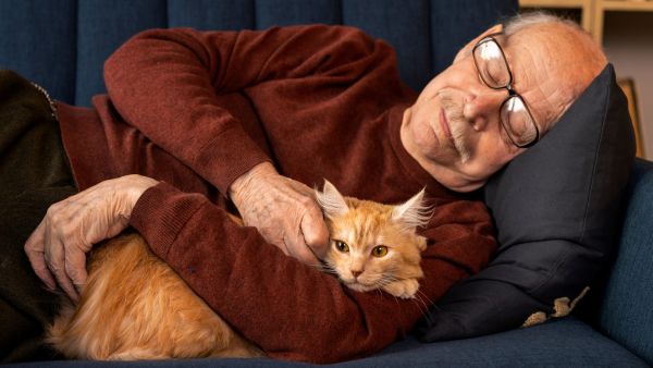 Cat Purring Can Benefit Your Health