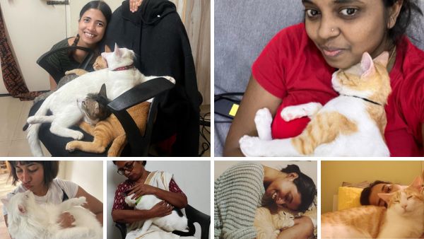 Cat Purring Can Benefit Your Health