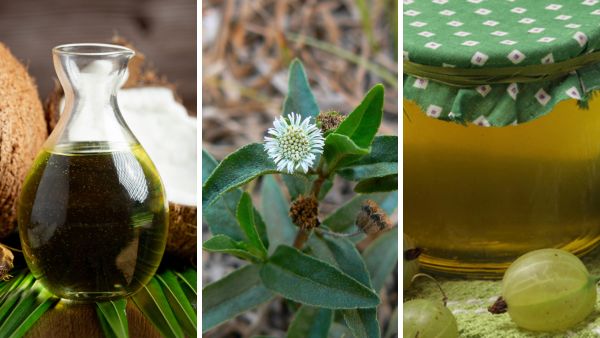 Natural Remedies For Hair Loss