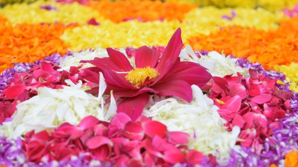 Onam 2023 Fitness Challenge