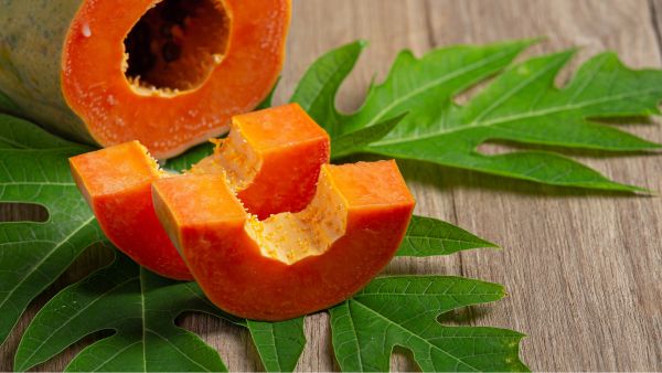 How To Use Papaya Leaves For Dengue How To Use Papaya Leaves For Dengue