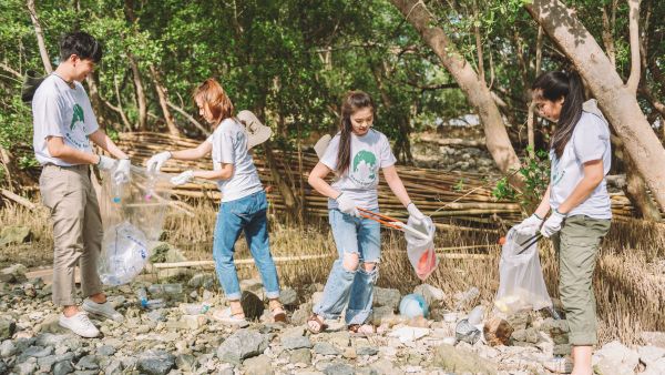 Prevent Dengue At Home: Expert Tips