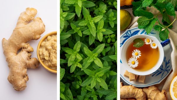 Excessive Farting Excessive Farting