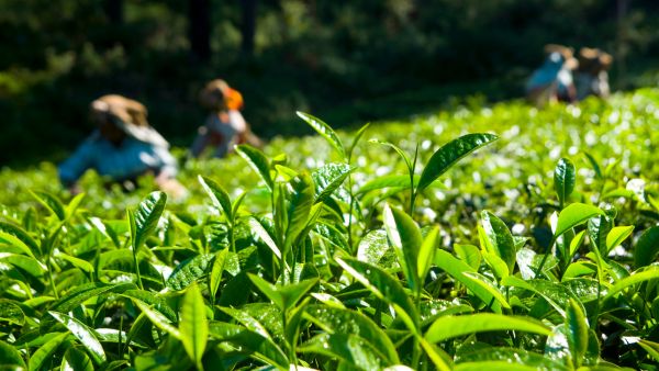 World Tourism Day 2023