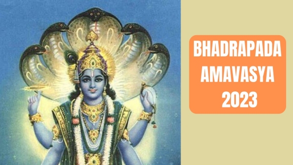 Bhadrapada Amavaysa 2023: Due To A Rare Coincidence These Zodiac Signs Will Be Lucky